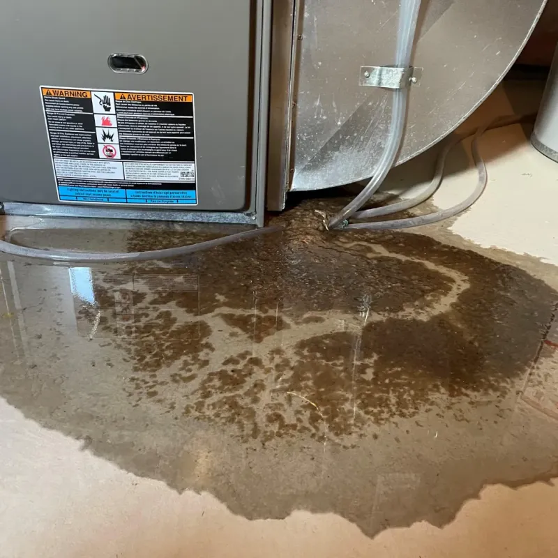 Appliance Leak Cleanup in Pineville, WV