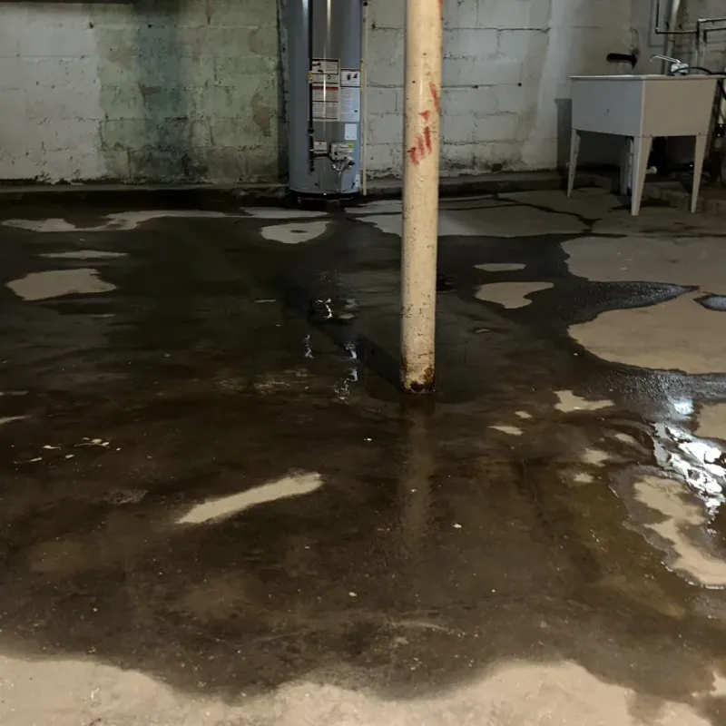 Emergency Water Extraction And Removal in Pineville, WV